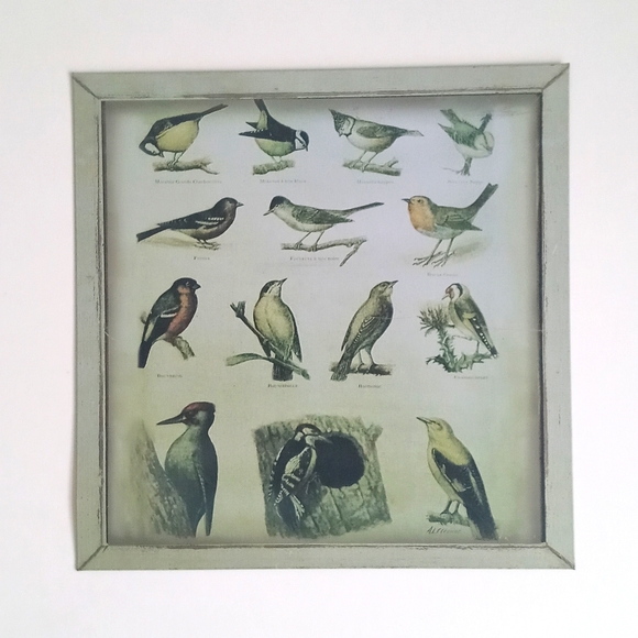 Sweet Bird Themed Metal Sign - Picture 6 of 7